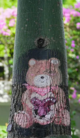 Tree art brightens Tianbei community in Luohu